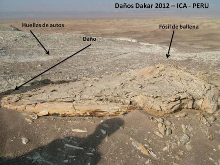 DA�OS DEL DAKAR 2 2012