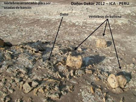 DA�OS DEL DAKAR 4 2012