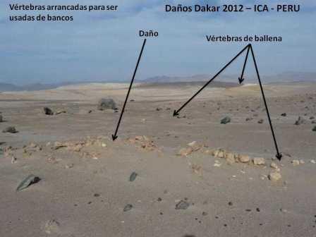 DA�OS DEL DAKAR 5  2012