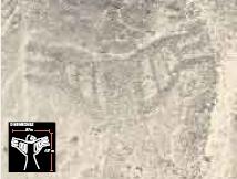 Geoglyph Condor Ocucaje, Ica, Peru 