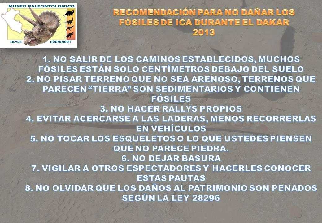 RECOMENDACIONES DAKAR 2013